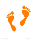 Arch Support